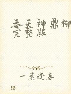 吞天神鼎柳无邪完整版封面