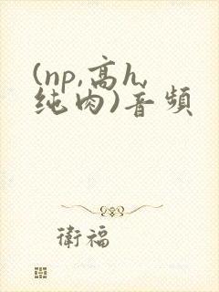 (np,高h,纯肉)音频