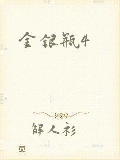 金银瓶4封面