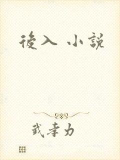 后入 小说
