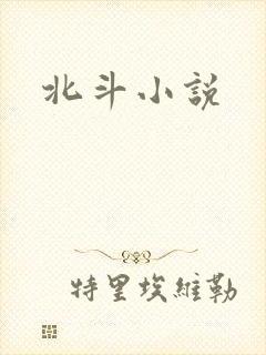 北斗小说