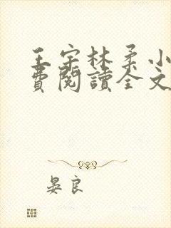 王宇林柔小说免费阅读全文最新章节