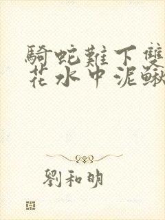 骑蛇难下双金银花水中泥鳅双男主