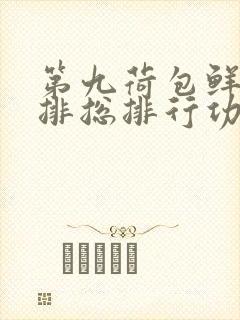 第九荷包鲜辣肉排总排行功能介绍封面