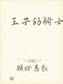 王子的骑士小说封面