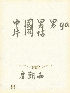 中国男男gay片网站