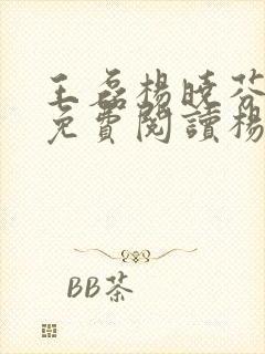 王磊杨晓芬小说免费阅读杨笔趣阁