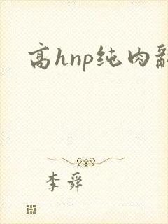 高hnp纯肉乱