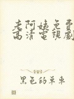 老阿姨免费完整高清电视剧播放