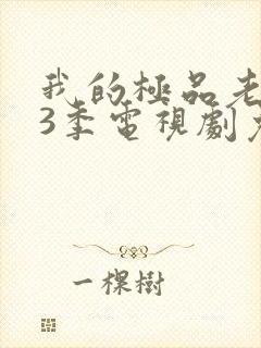 我的极品老婆第3季电视剧免费