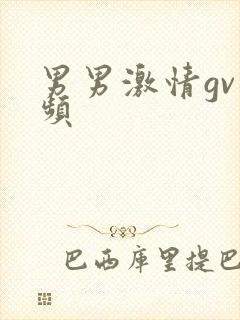 男男激情gv视频