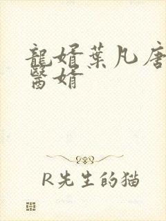 龙婿叶凡唐若雪医婿