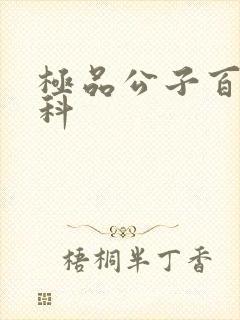 极品公子百度百科封面