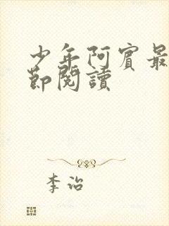 少年阿宾最新章节阅读