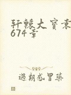 轩辕大宝袁雪妃674章