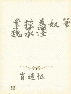 掌控为奴笔趣阁魏承泽封面