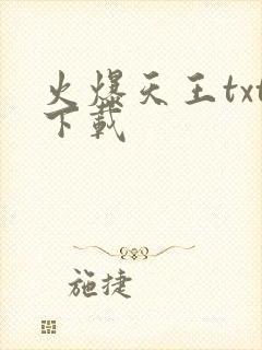 火爆天王txt下载封面