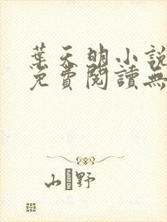 叶天明小说全文免费阅读无弹窗最新章节