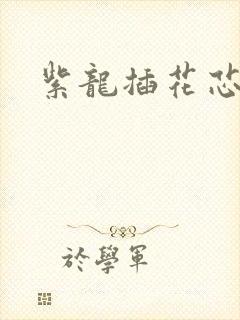 紫龙插花芯方正