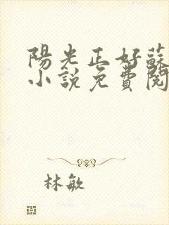 阳光正好苏玥玥小说免费阅读无弹窗