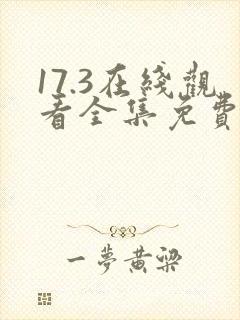 17.3在线观看全集免费完整星辰封面