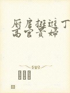 厨房挺进丁字裤高官贵妇