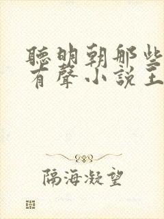 听明朝那些事儿有声小说王更新