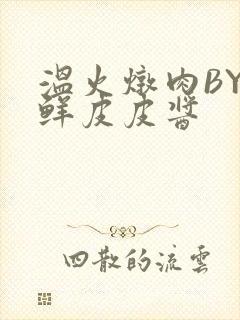 温火炖肉BY海鲜皮皮酱