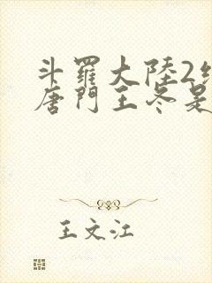 斗罗大陆2绝世唐门王冬是男还是女封面