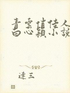 青云俏佳人李泽白心颖小说全文封面