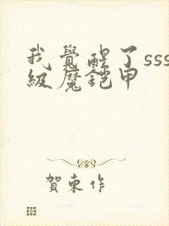 我觉醒了sss级魔铠甲