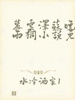 慕云泽苏晚晴夏雨桐小说免费阅读