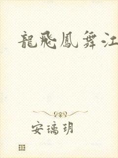 龙飞凤舞江一龙封面