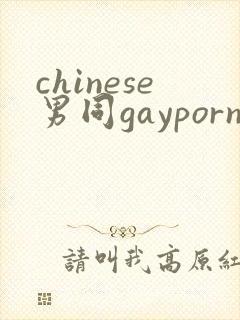 chinese男同gayporn封面