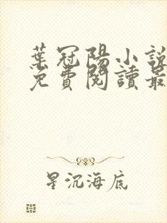 叶冠阳小说全文免费阅读最新章节