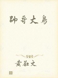 帅哥大鸟