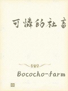 可怜的社畜分手