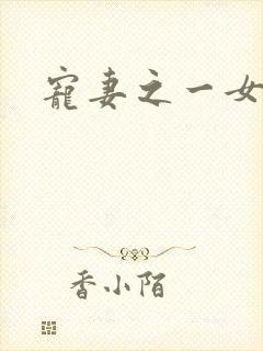 宠妻之一女二夫