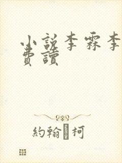 小说李霖李澜免费读封面