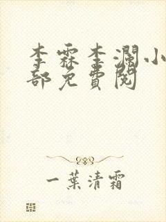 李霖李澜小说全部免费阅