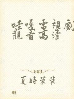 哇嘎电视剧免费观看高清