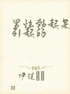 男性勃起是怎么引起的