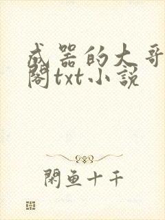 成器的大哥笔趣阁txt小说