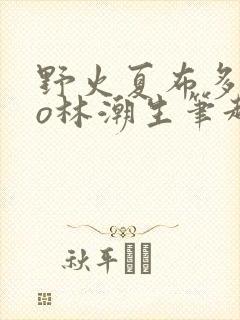 野火夏布多昂po林潮生笔趣阁