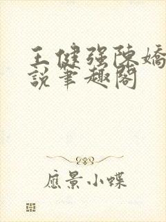 王健强陈娇娇小说笔趣阁