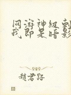 网游神级刺客,我即是暗影