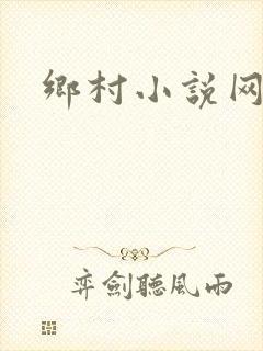 乡村小说网封面