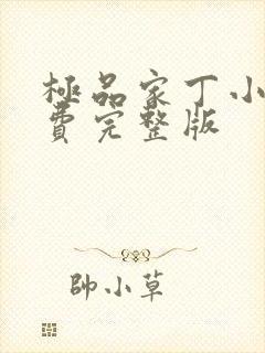 极品家丁小说免费完整版