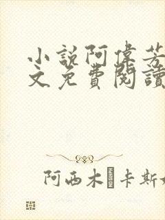 小说阿伟芳姨全文免费阅读