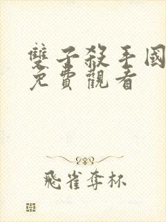 双子杀手国语版免费观看